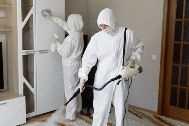 Mold Removal and Inspection in Kemah, TX