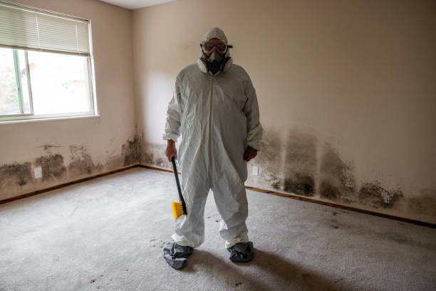 Home Mold Removal in Kemah, TX